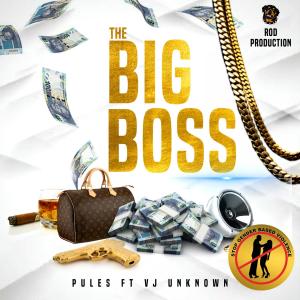 Listen to The Big Boss (feat. Vj Unknown) song with lyrics from Pules