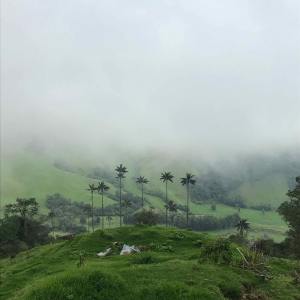 ดาวน์โหลดและฟังเพลง Call to Rest พร้อมเนื้อเพลงจาก Nature Sounds
