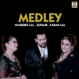 收聽Naseebo Lal的Medley歌詞歌曲