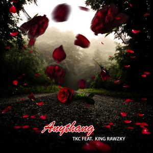 อัลบัม Anythang (feat. King Rawzky) [Progression Music Remix] (Explicit) ศิลปิน Thurstin K. Childz