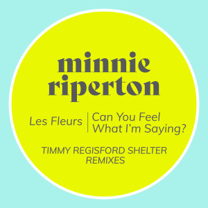 收聽Minnie Riperton的Can You Feel What I'm Saying? (Timmy Regisford Shelter Remix)歌詞歌曲