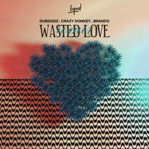 收聽Dubdogz的Wasted Love (Crazy Donkey VIP Mix)歌詞歌曲