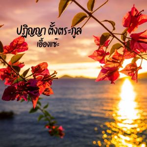 Listen to เอื้องแซ๊ะ song with lyrics from ปฏิญญา ตั้งตระกูล