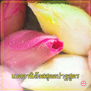 Listen to เมตตานิสังสสุตตปาฐสูตร song with lyrics from Group Star