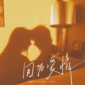 ดาวน์โหลดและฟังเพลง 因为爱情 (女版) พร้อมเนื้อเพลงจาก 夏城南