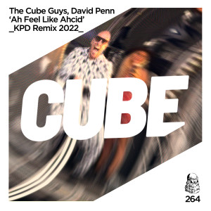 Album Ah feel like ahcid (KPD Remix 2022) oleh The Cube Guys