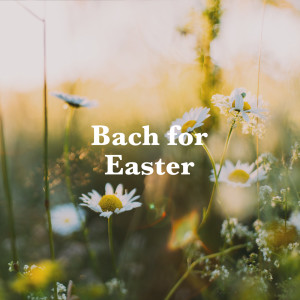 อัลบัม Bach for Easter ศิลปิน Chopin----[replace by 16381]