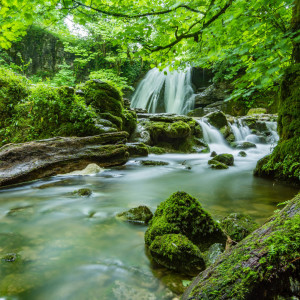 Nature Waterfalls的專輯Relaxing Waterside Quartet: River's Harmonic Bliss