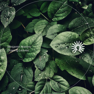 ดาวน์โหลดและฟังเพลง Flowing Leaves พร้อมเนื้อเพลงจาก Benjamin Martins