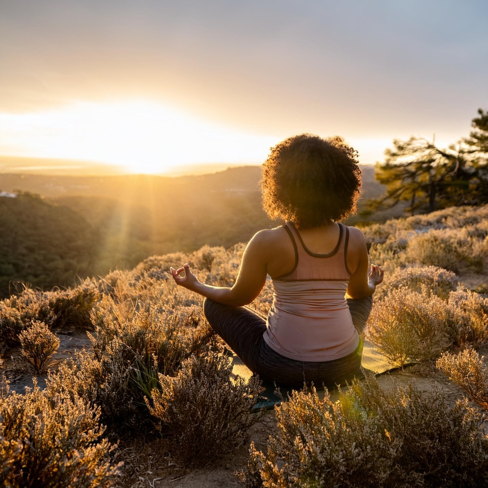 Comienza El Viaje De Meditación