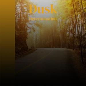 Album Dusk Determination from Various