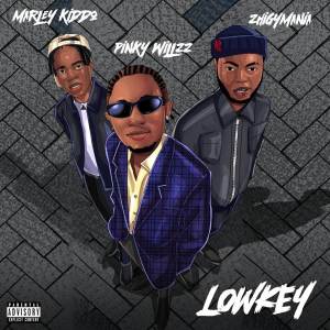 Pinky willzz的專輯Low Key