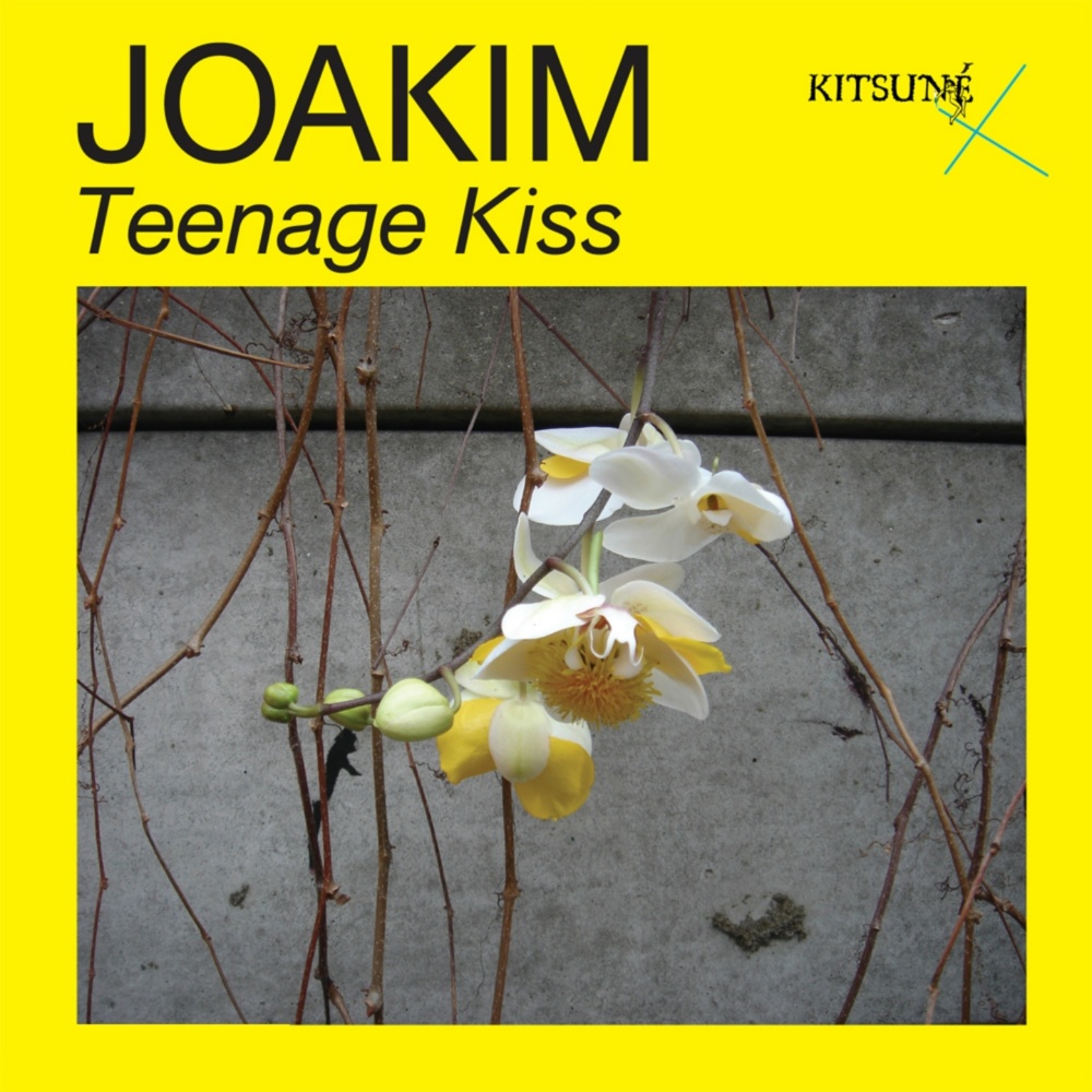 Teenage Kiss (Vocal Version)