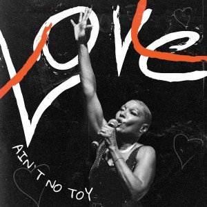 Amii Stewart的專輯Love Ain't No Toy
