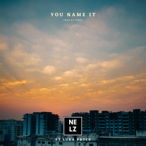 Luka Pryce的專輯You Name It (feat. Luka Pryce) (Explicit)