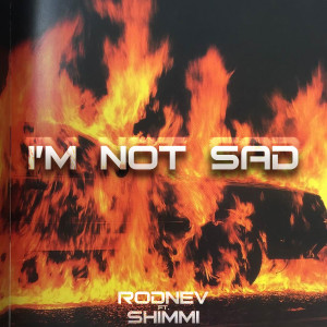 Listen to I'm Not Sad (Explicit) song with lyrics from rodnev