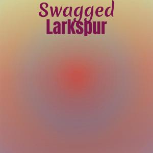 Various Artists的專輯Swagged Larkspur