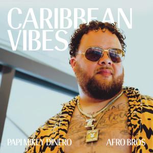 Album Caribbean Vibes from Afro Bros