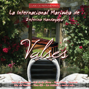 收听Marimba De Zeferino Nandayapa的Chiapa de Corzo / Ocosingo / Erundina / San Cristobal / Tuxtla歌词歌曲