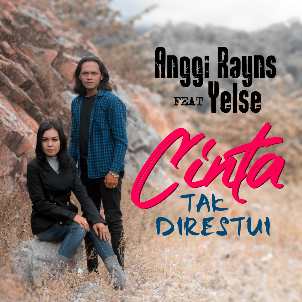 Cinta Tak Direstui