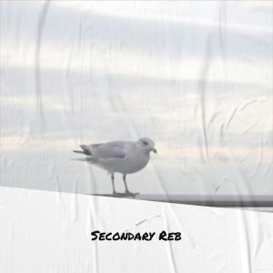 Album Secondary Reb from Various