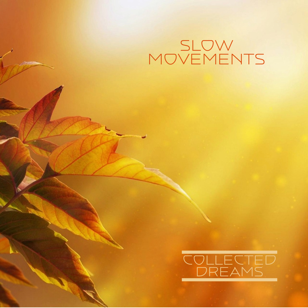 Slow Movements