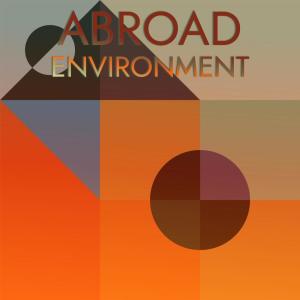 Various Artists的專輯Abroad Environment