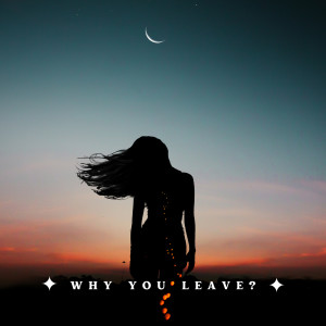 Dengarkan lagu Why You Leave? nyanyian Darius Gray dengan lirik