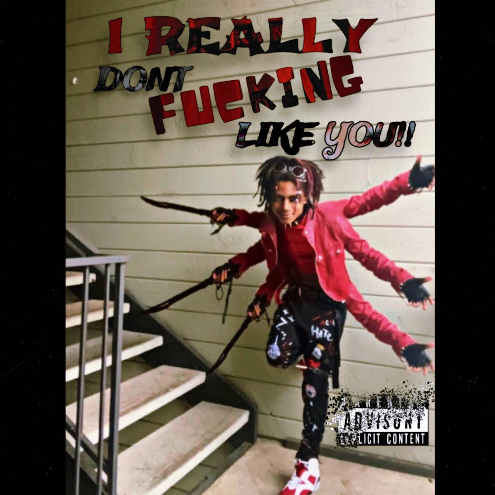 I REALLY DONT ******* LIKE YOU!! (Explicit)