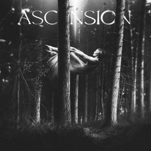 Listen to lies (feat. L3ss & Barmuda) song with lyrics from finaldest!nation