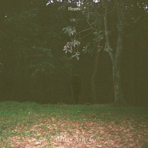 Listen to Buried song with lyrics from Fleuro