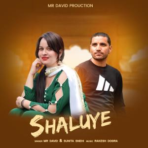 Listen to Shaluye song with lyrics from Mr David