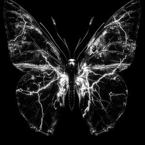 收聽Dixound的AQUI歌詞歌曲