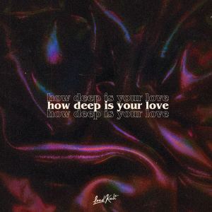 Album How Deep Is Your Love (VIP Mix) from Bella X