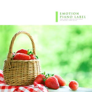 收听Inoue Yuichi (이노우에 유이치)的Find Beauty歌词歌曲