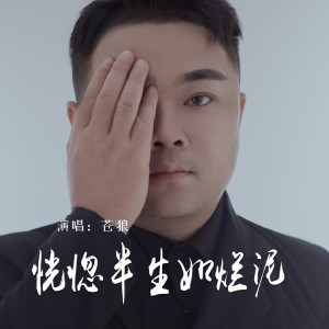 蒼狼的專輯恍惚半生如爛泥