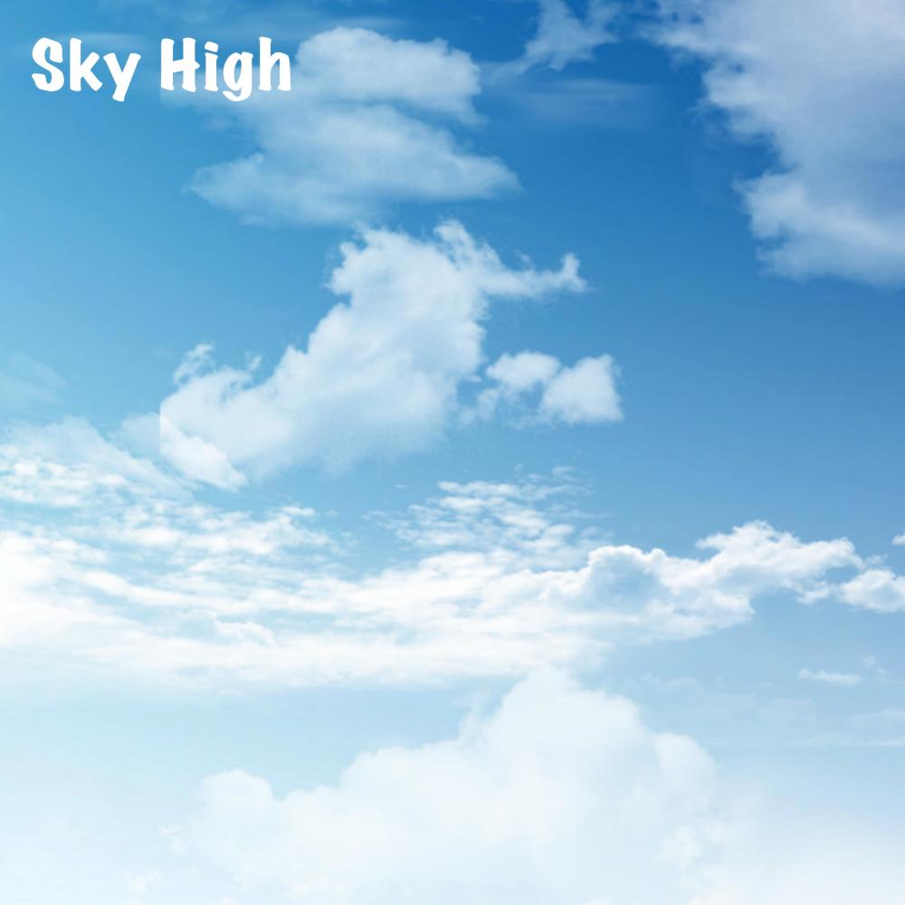 Sky High