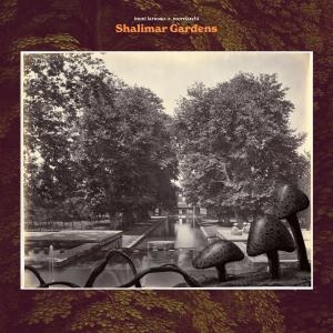 Listen to Shalimar Gardens (Explicit) song with lyrics from Immi Larusso