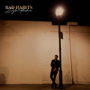 Listen to Bad Habits song with lyrics from Dylan Flashner