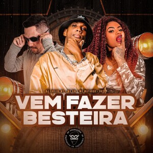 Album VEM FAZER BESTEIRA (Explicit) from 