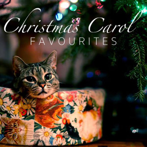 收聽Wildlife的O Christmas Tree歌詞歌曲