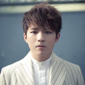 Listen to Ling Yi Ge Nuo Bei Er song with lyrics from 陈卓贤