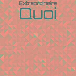 Various的专辑Extraordinaire Quoi