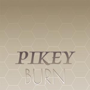 Various Artists的專輯Pikey Burn