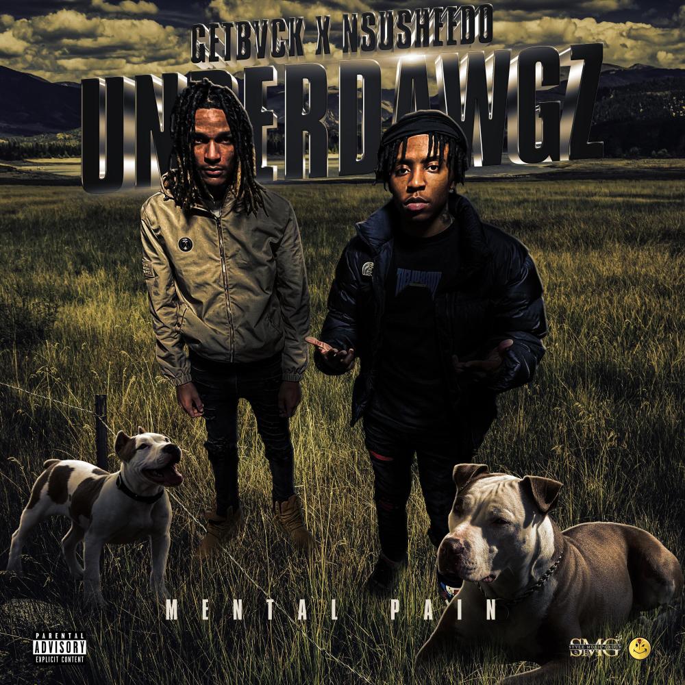 Underdawgz (Mental Pain) (feat. Nsu Sheedo) (Explicit)