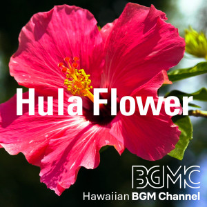 Listen to Beautiful Water song with lyrics from Hawaiian BGM channel