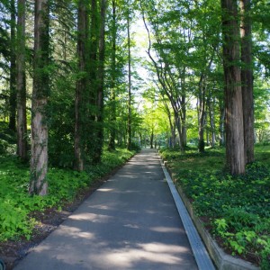 Listen to 君と歩む道 song with lyrics from コウジ58