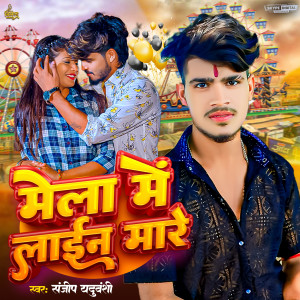 Album Mela Me Laine Mare from 