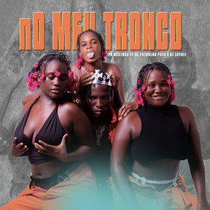 收聽PG Mestrão的No Meu Tronco (Explicit)歌詞歌曲