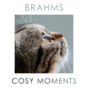 Johannes Brahms的專輯Brahms Cosy Moments